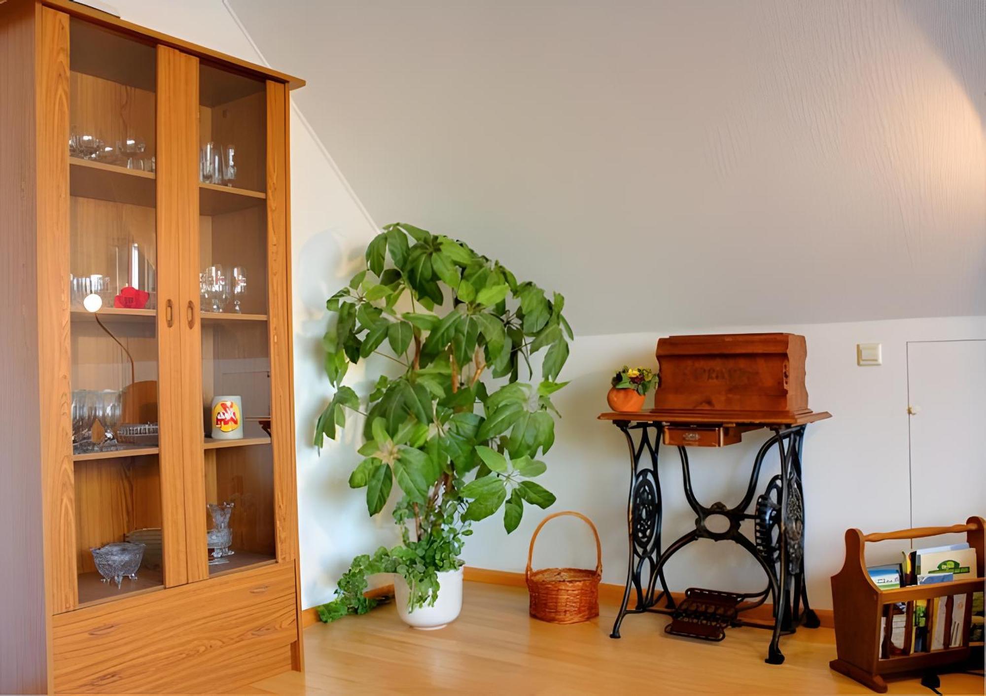 Appartement Haus Wehrle à Breisach Extérieur photo
