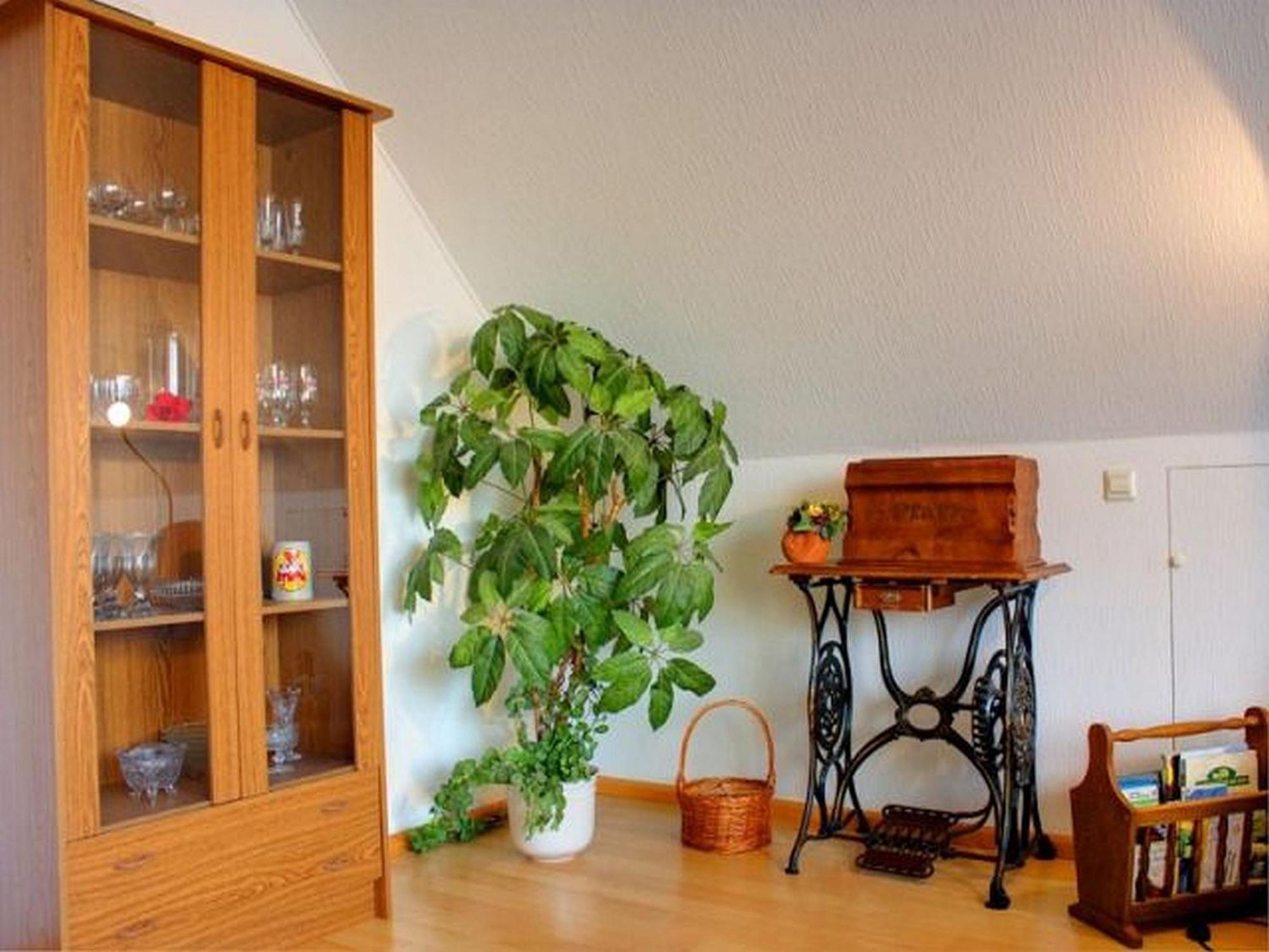 Appartement Haus Wehrle à Breisach Extérieur photo
